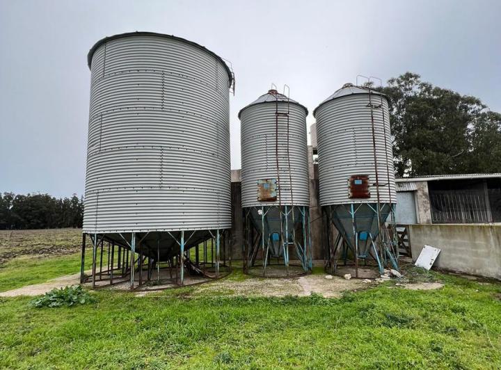 Terreno · 10000m² · 5 Ambientes