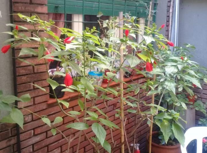 PH · 83m² · 3 Ambientes