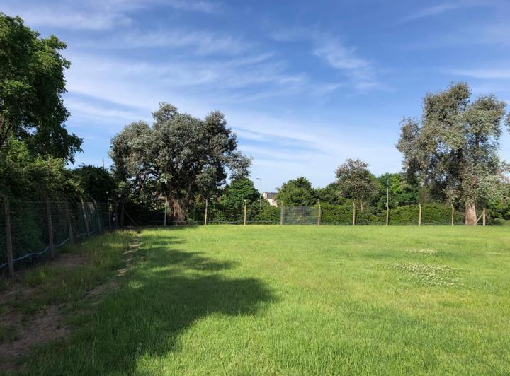 Terreno · 702m² · 96 Dormitorios