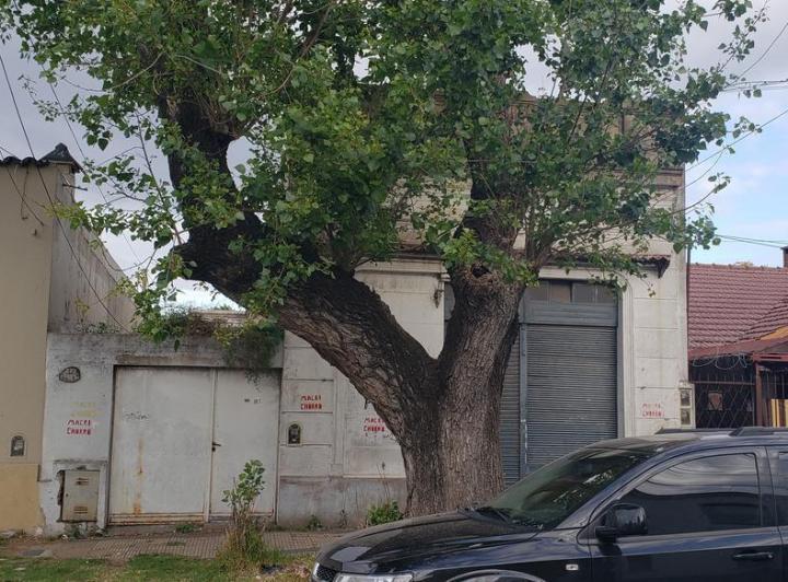 Terreno · 165m² · 4 Ambientes