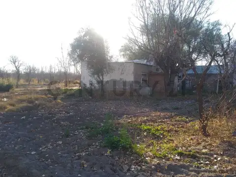 Campo en Venta en General Alvear, Mendoza