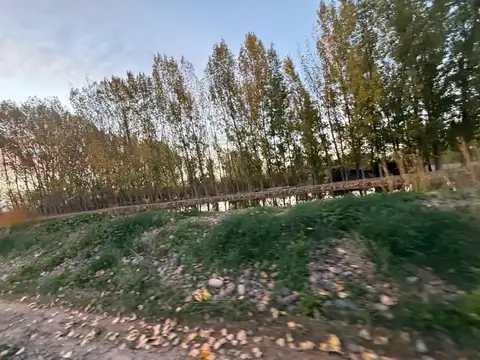 Galpón en Venta en Agrelo, Luján de Cuyo