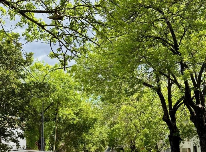 PH · 56m² · 2 Ambientes