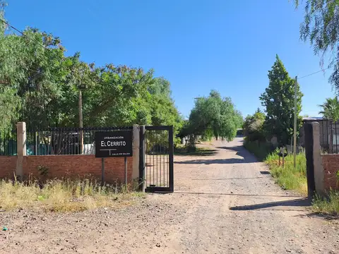 Terreno en Venta en Luján de Cuyo, Mendoza