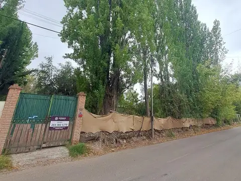 Terreno en Venta en Chacras de Coria, Luján de Cuyo