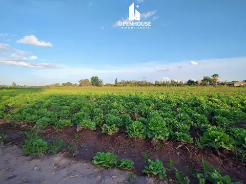 Terreno en Venta en Rodeo de la Cruz, Guaymallén