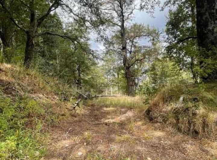 Terreno · 4000m²