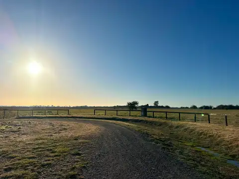 Terreno en Venta en Cañuelas, Partido de Cañuelas