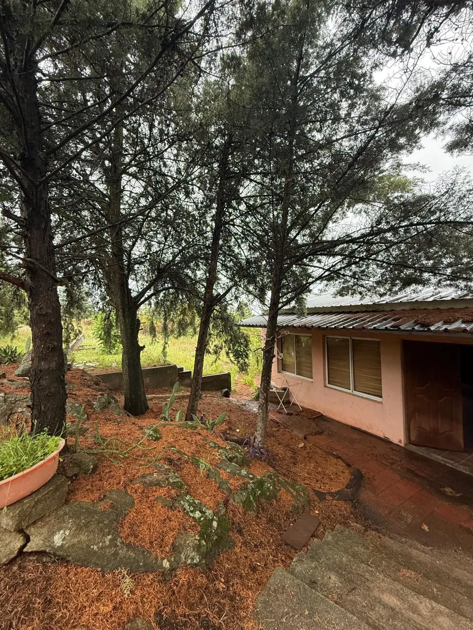 VENTA - Casa en un terreno de 2 hectareas - IDEAL PARA INVERSORES - Tanti