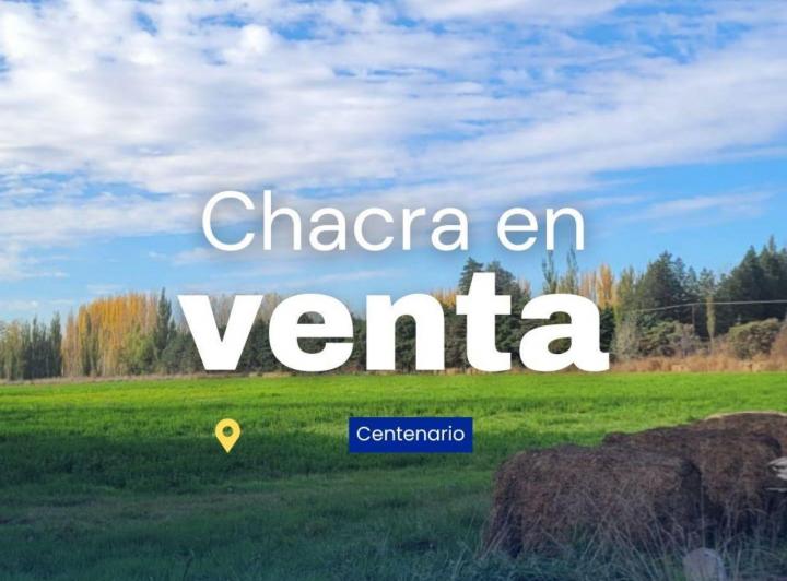 Campo · 50000m²