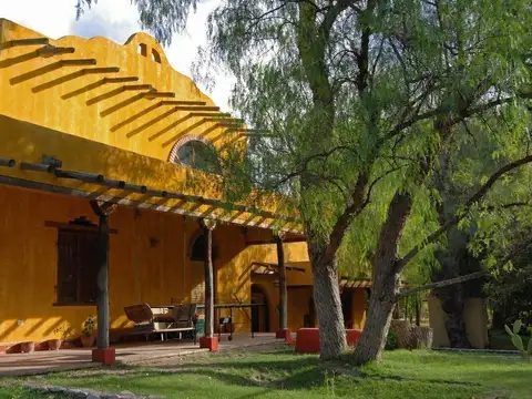 Campo en Venta en Rama Caída, San Rafael