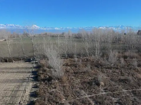 Campo en Venta en El Zampal, Tupungato