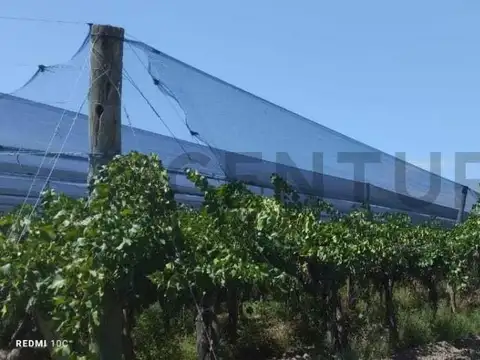 Campo en Venta en Monte Caseros, San Martín