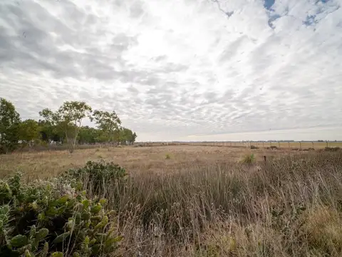 Campo en Venta en Funes, Rosario