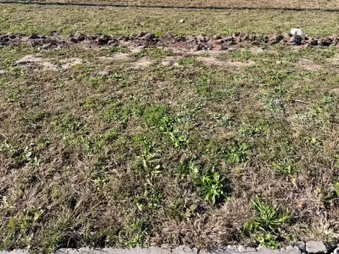 Terreno en Venta en Alvear, Rosario