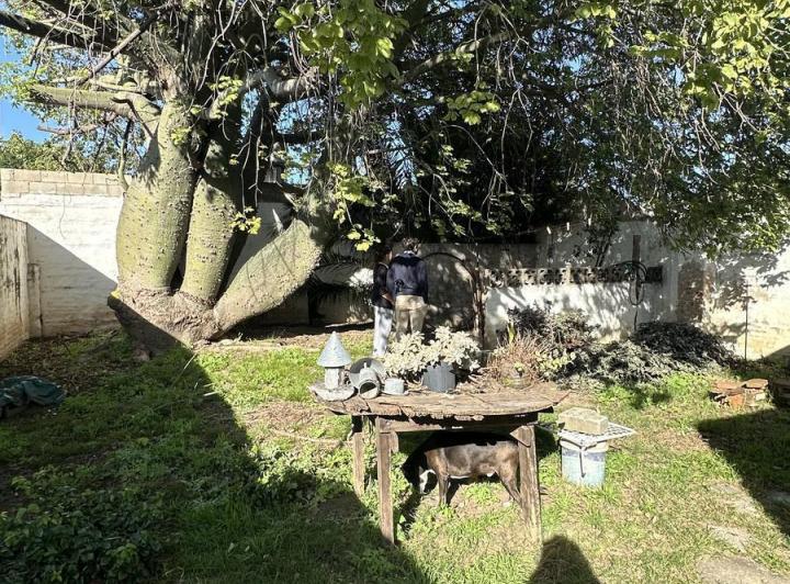 Casa · 156m² · 6 Ambientes · 1 Cochera