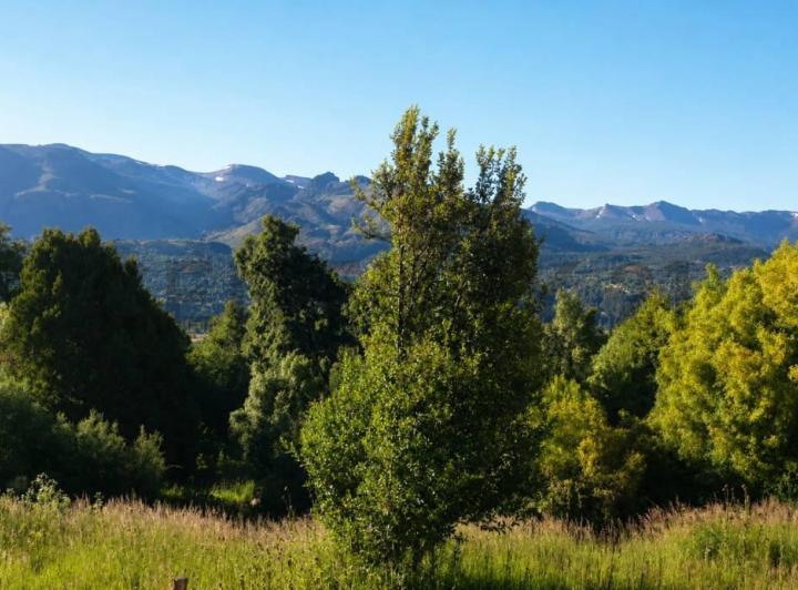 Terreno · 2333m²