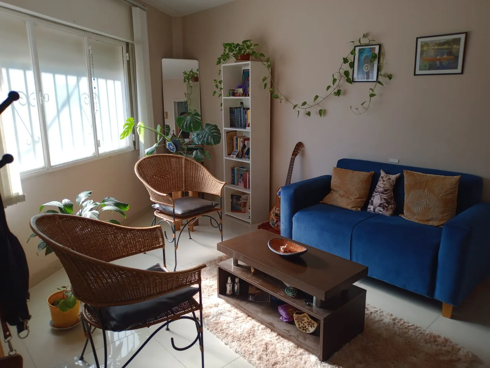 Departamento en venta Alberdi, sin expensas, como una casa.