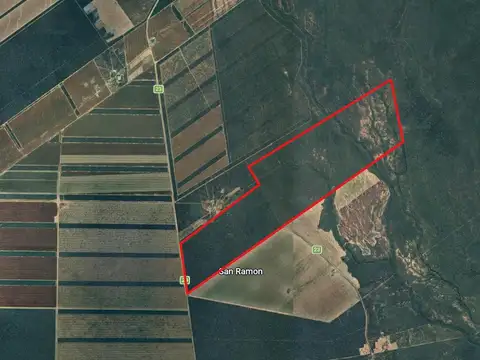 Campo en Venta en San Ramón, Pellegrini