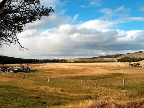 Campo en Venta en Gobernador Gregores, Río Chico