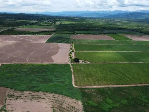 Campo en Venta en Dique Cabra Corral, Coronel Moldes