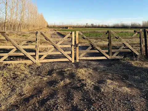 Terreno en Venta en General Roca, Río Negro