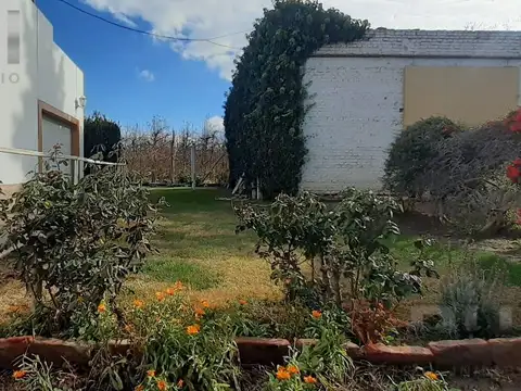 Campo en Venta en Chacras de Allen, General Roca