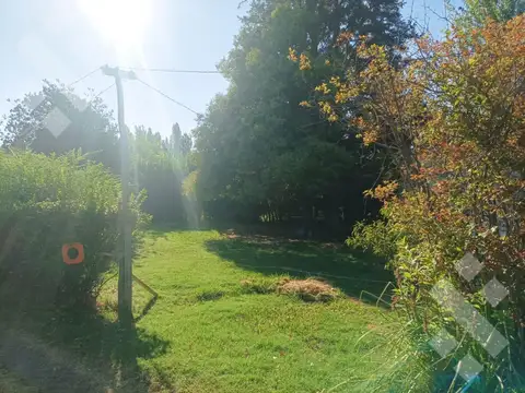 Campo en Venta en Cinco Saltos, General Roca