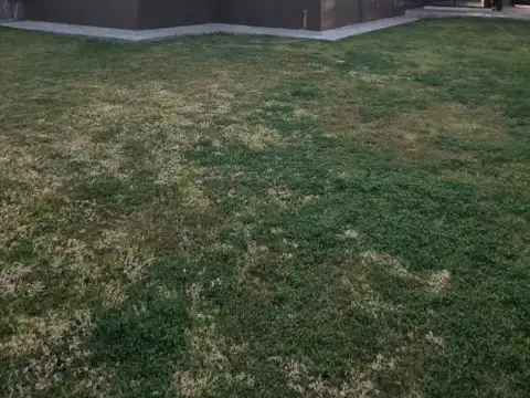 Casa en Venta en Lujan De Cuyo, Lujan de Cuyo