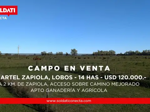 Campo en Venta en Zapiola, Partido de Lobos