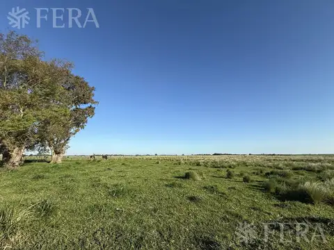 Campo en Venta en La Plata, Partido de La Plata
