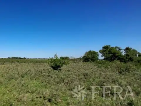 Campo en Venta en La Plata, Partido de La Plata