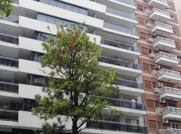 Departamento · 60m² · 3 Ambientes