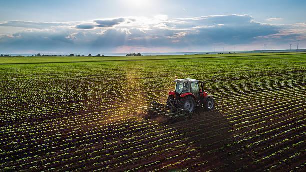 Campo · 350m²