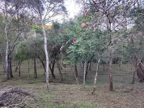 Terreno en Venta en Vaqueros, La Caldera