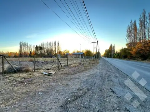 Terreno en Alquiler en Plottier, Confluencia