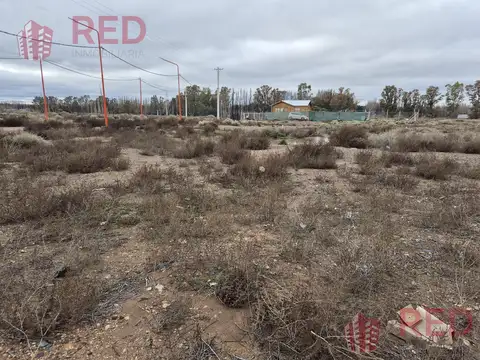 Terreno en Venta en Centenario, Confluencia