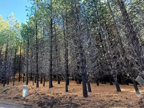 Terreno en Venta en San Martín de los Andes, Lácar