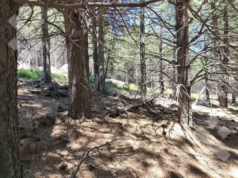 Terreno en Venta en San Martín de los Andes, Lácar