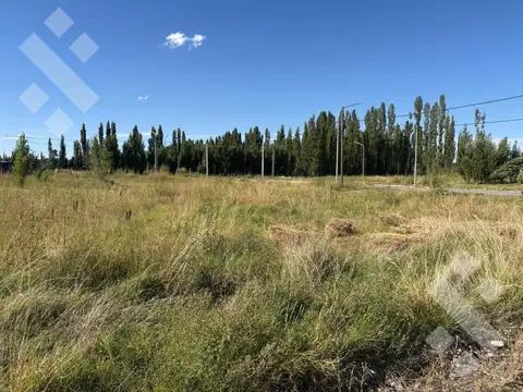 Terreno en Venta en Plottier, Confluencia