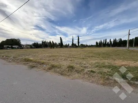 Terreno en Venta en Plottier, Confluencia