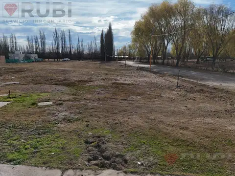 Terreno en Venta en Centenario, Confluencia