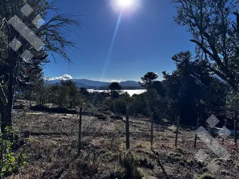 Terreno en Venta en Villa Pehuenia, Aluminé
