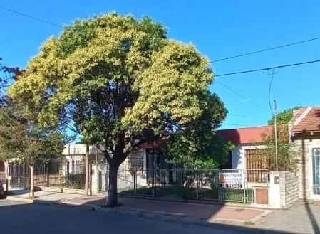 LOS NARANJOS entre LA PLAZA y RUTA 20