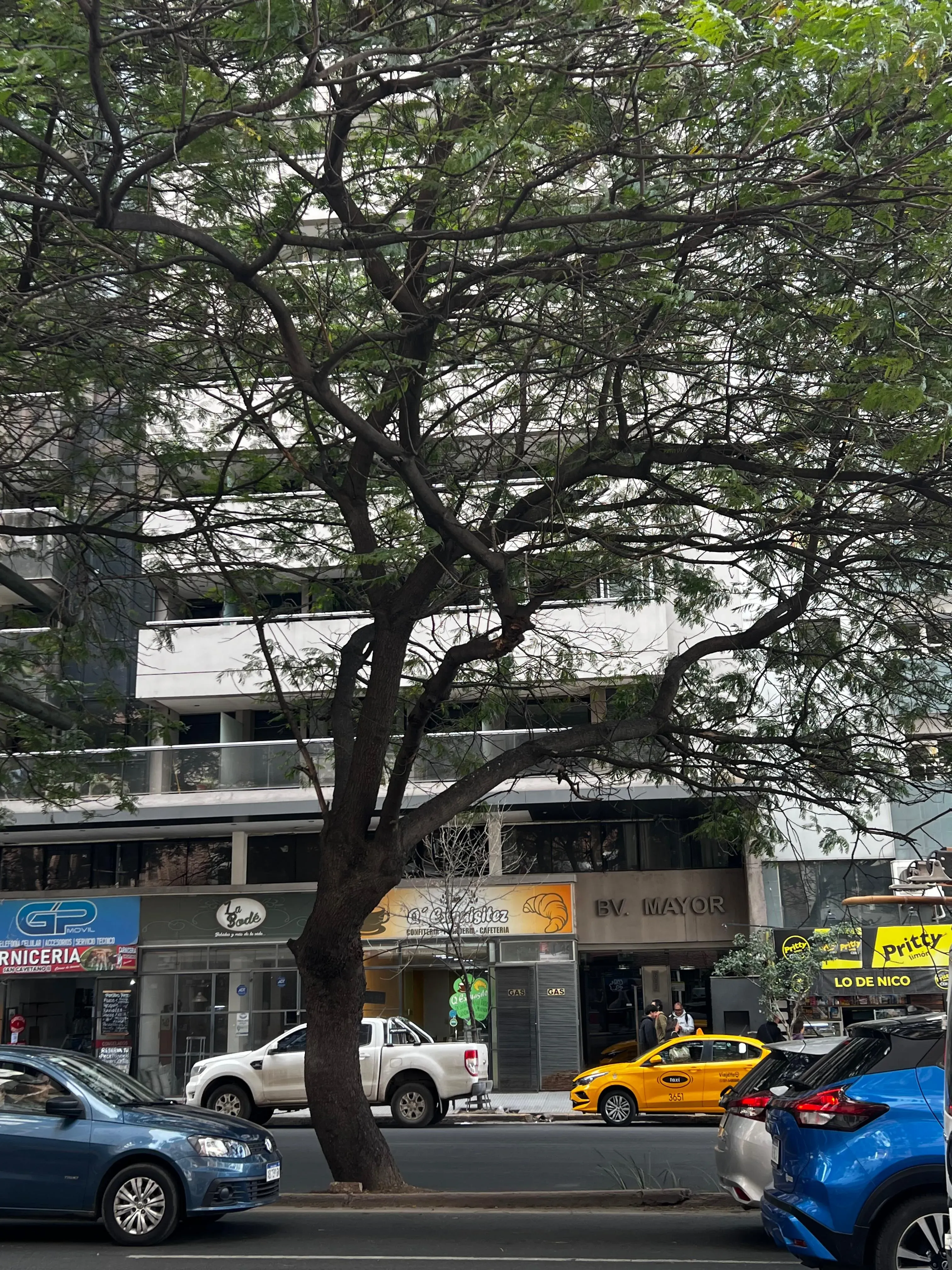 KABALS VENDE DEPARTAMENTO CON TERRAZA