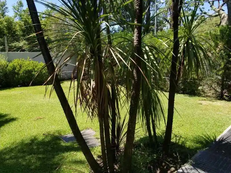 VILLA BELGRANO! VENTA- CATEGORIA