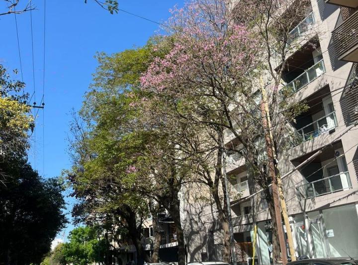 Departamento · 60m² · 3 Ambientes