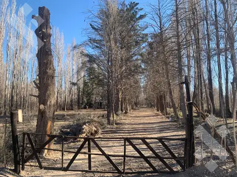 Terreno en Venta en Plottier, Confluencia