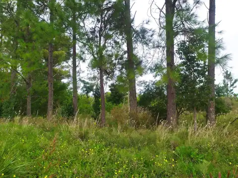 Campo en Venta en Gualeguaychu, Gualeguaychú