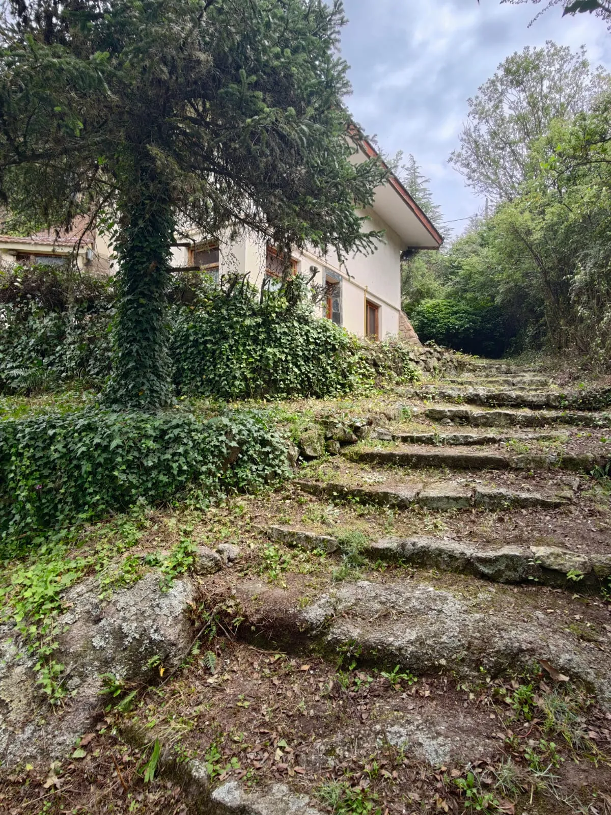 Venta de 2 hermosas casas, salida al río, en el corazón del Pueblo, Hermosas vis